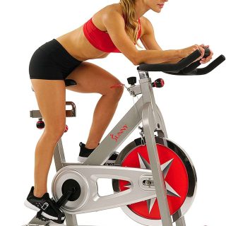 Sunny Health & Fitness Indoor Exercise Bike