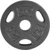 WF Athletic Supply Cast Iron Weight Plates Review